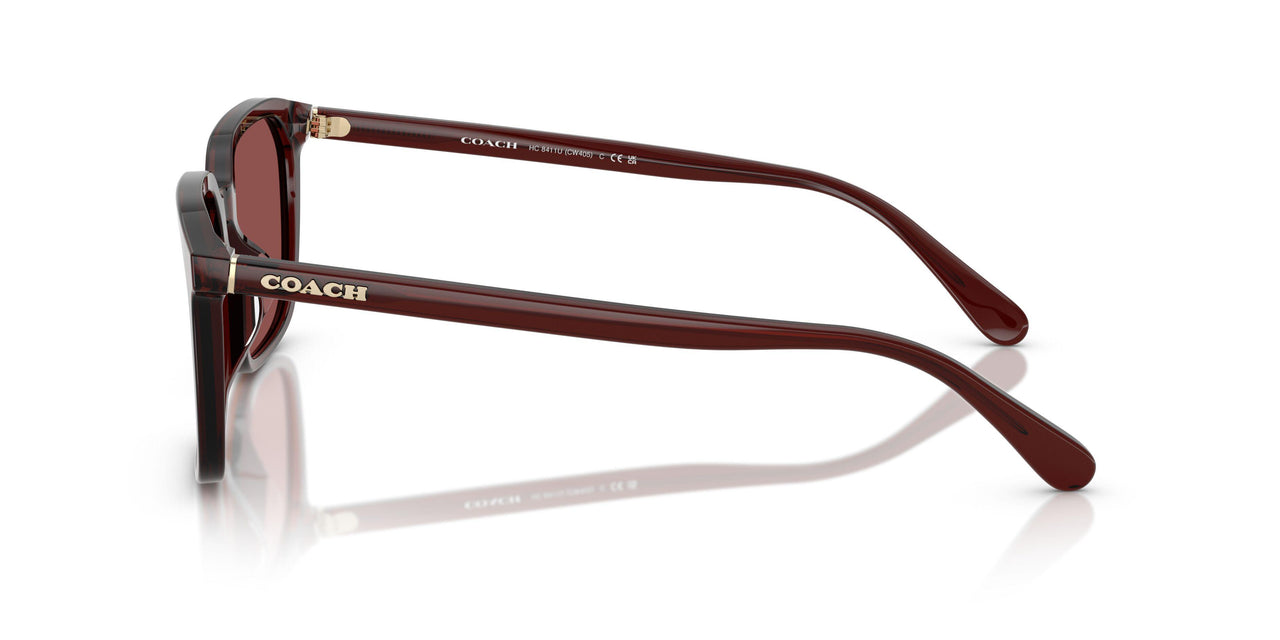 585075 - Red - Wine Solid