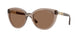 294073 - Brown - Dark Brown