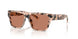 508073 - Tortoise - Dark Brown