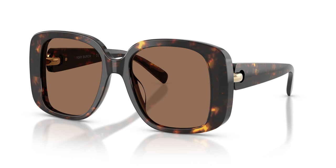 198173 - Tortoise - Brown