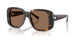 198173 - Tortoise - Brown