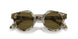 601773 - Beige - Dark Brown