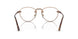 1123 - Brown