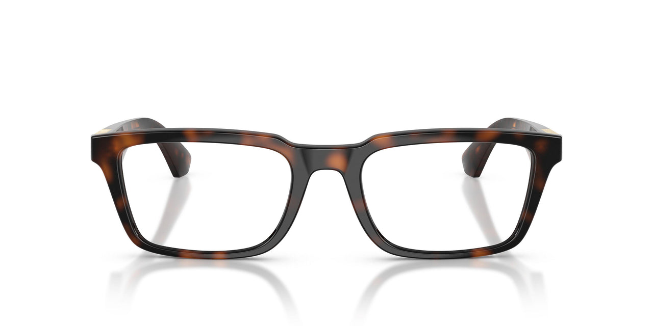 3002 - Brown