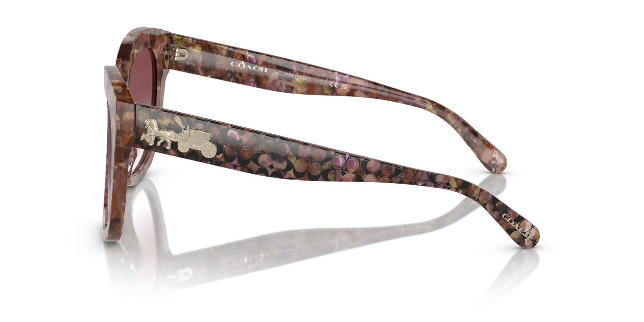 57398H - Tortoise - Purple Clear Gradient