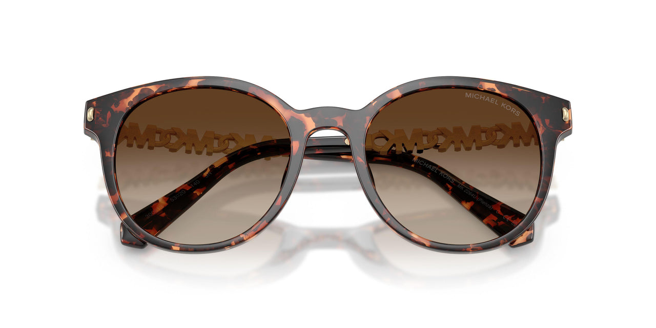 300613 - Tortoise - Smoke Gradient