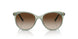 302213 - Green - Brown Gradient