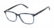 Caterpillar CTO3095 Eyeglasses