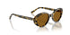 177853 - Tortoise - True Brown