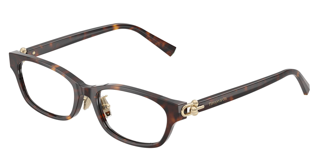 8015 - Tortoise