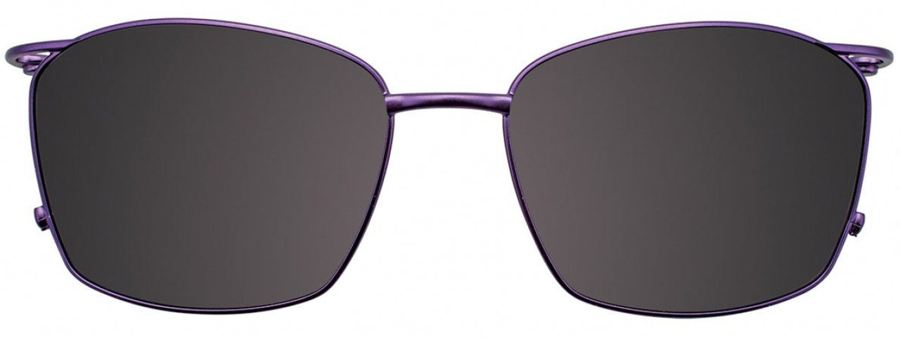 80 - Satin Violet & Shiny Light Violet