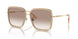134913 - Brown - Brown Gradient