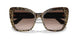 316313 - Leo Brown On Black - Brown Gradient