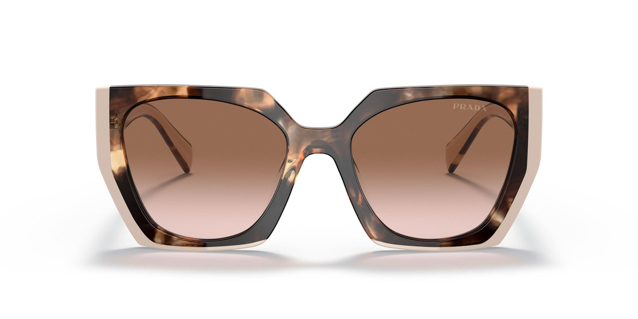 01R0A6 - Havana - Brown Gradient