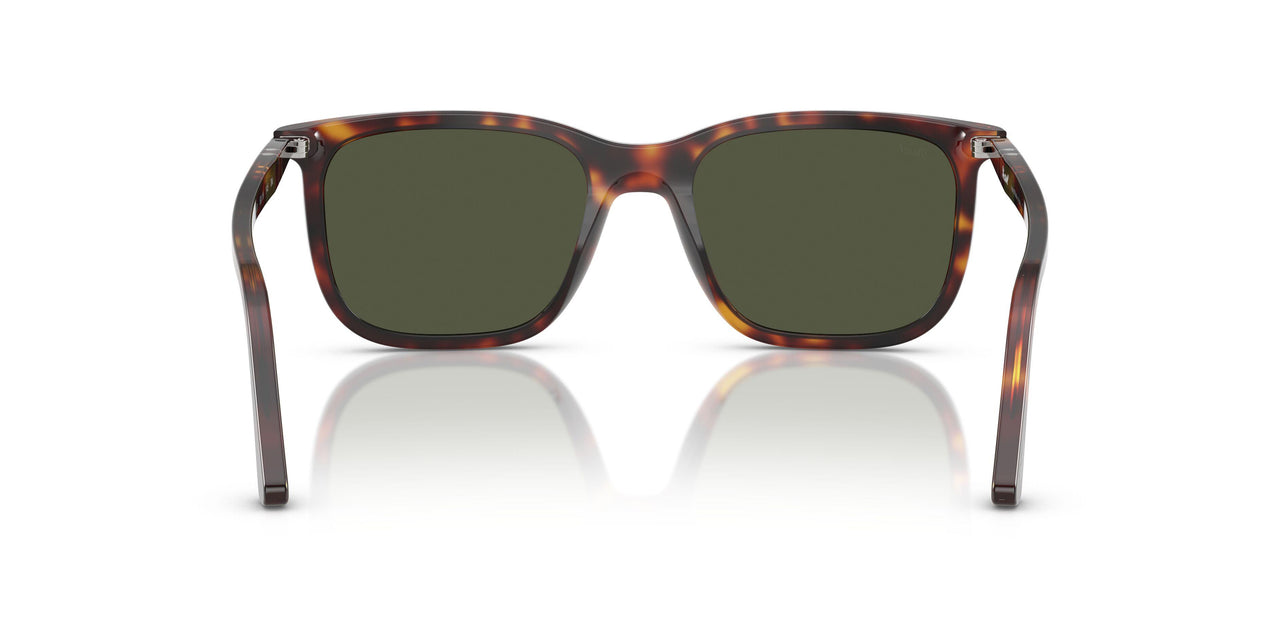 24/31 - Tortoise - Green