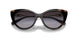50171W - Black - Clear