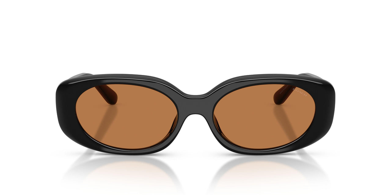 500273 - Black - Amber Solid