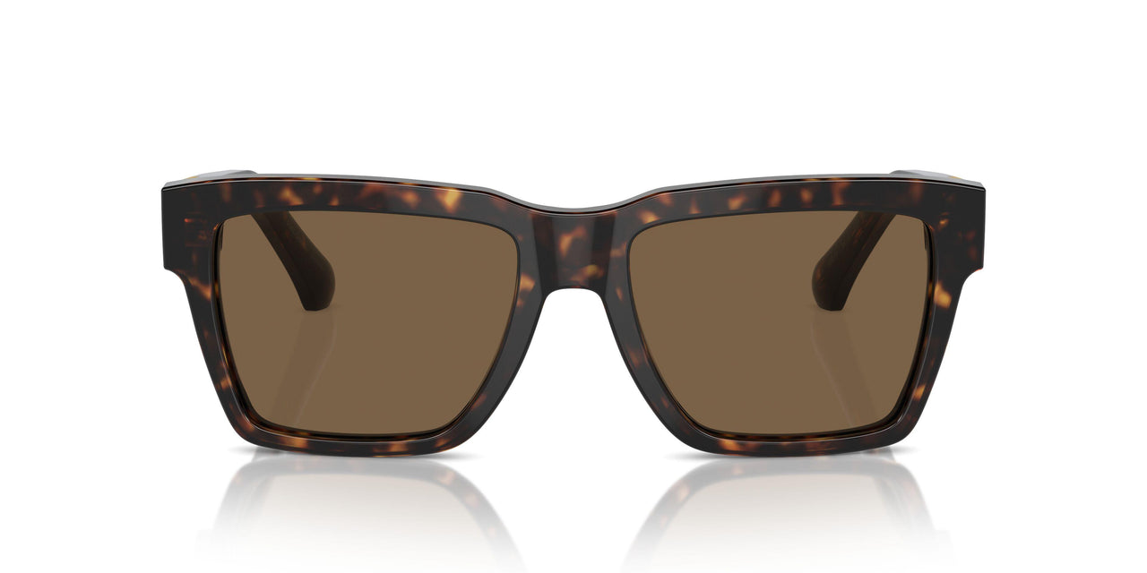 502/73 - Tortoise - Dark Brown
