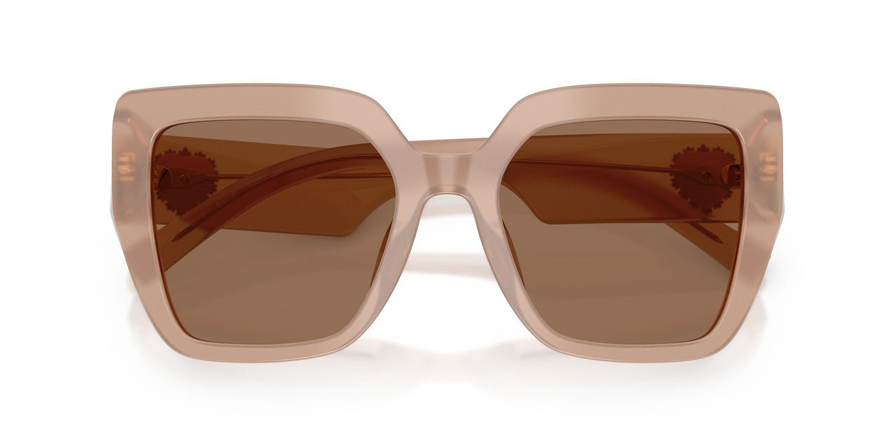 304273 - Brown - Dark Brown