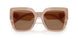 304273 - Brown - Dark Brown
