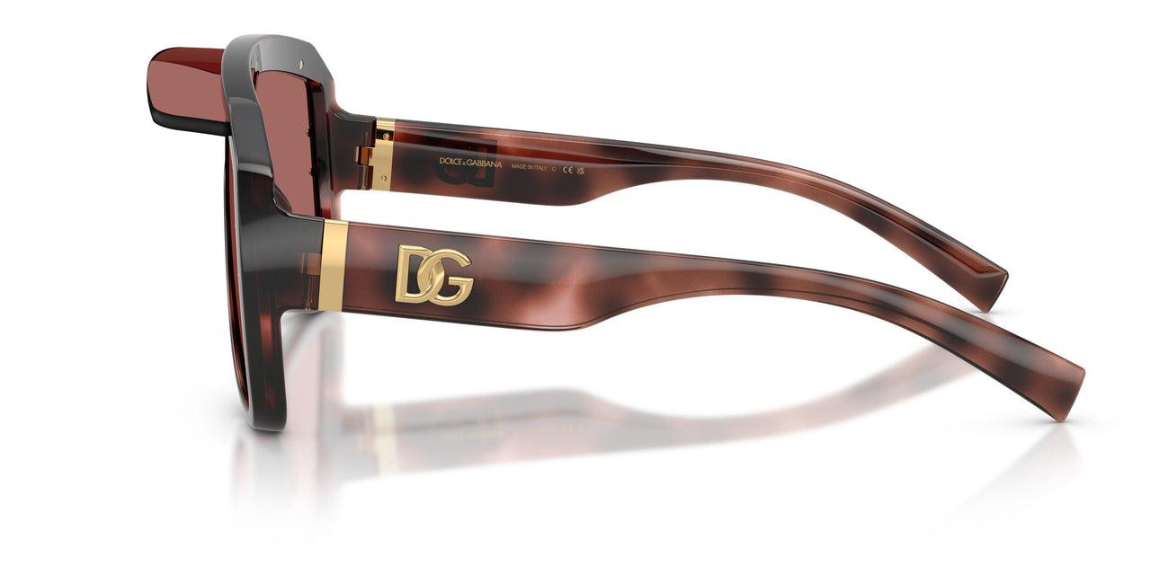347669 - Tortoise - Dark Violet