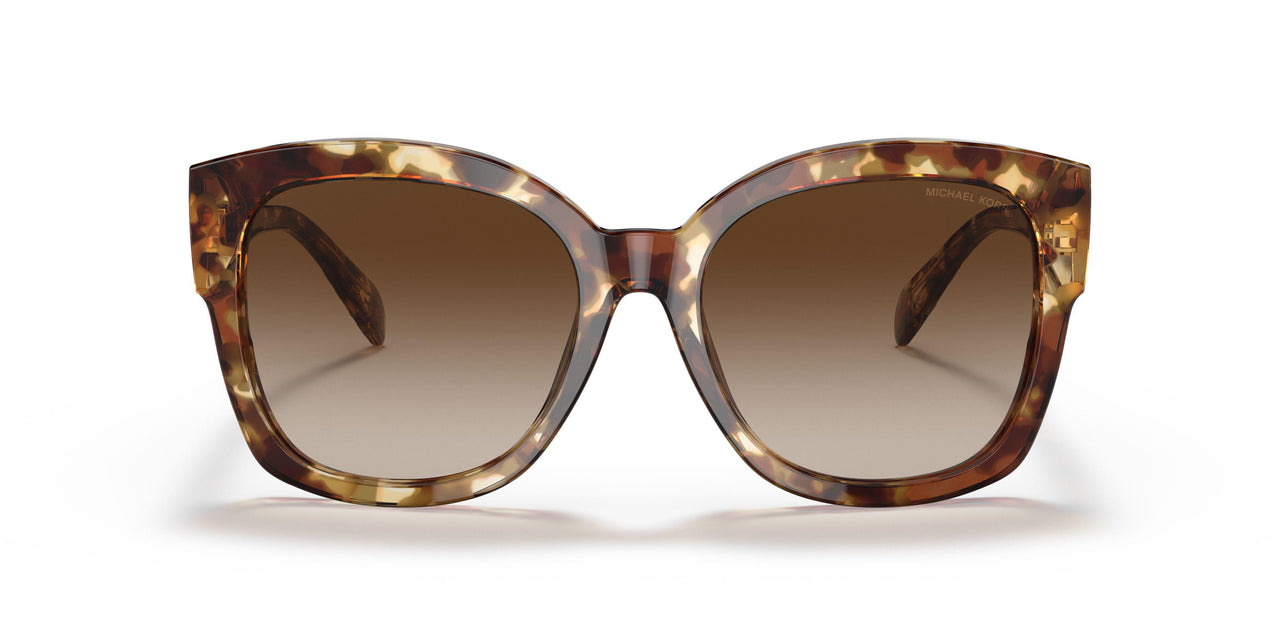 302813 - Havana - Brown Gradient