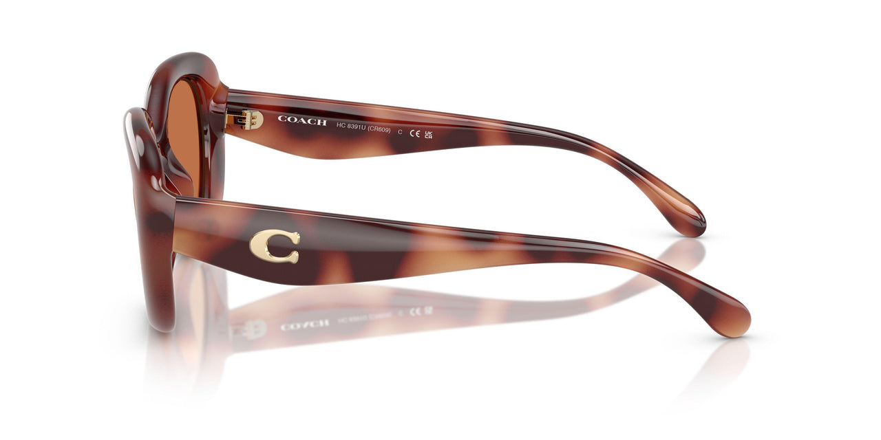 577473 - Tortoise - Brown Solid