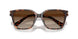 300613 - Tortoise - Smoke Gradient