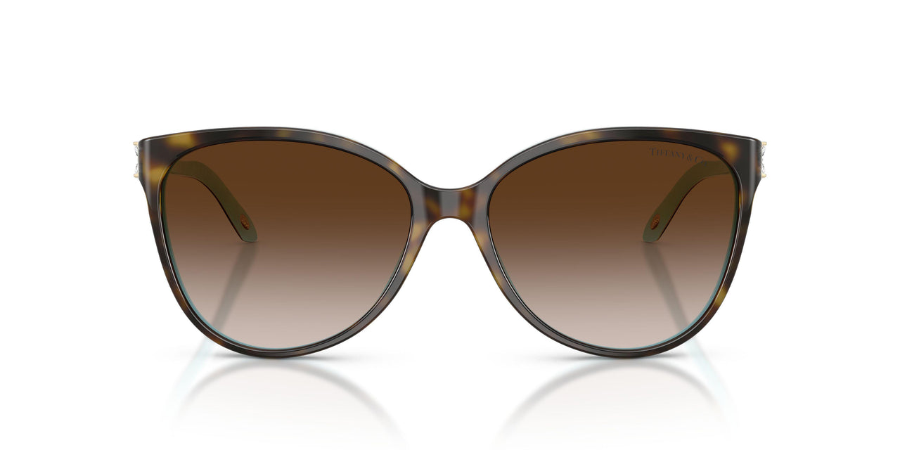 81343B - Havana - Brown Gradient