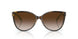 81343B - Havana - Brown Gradient