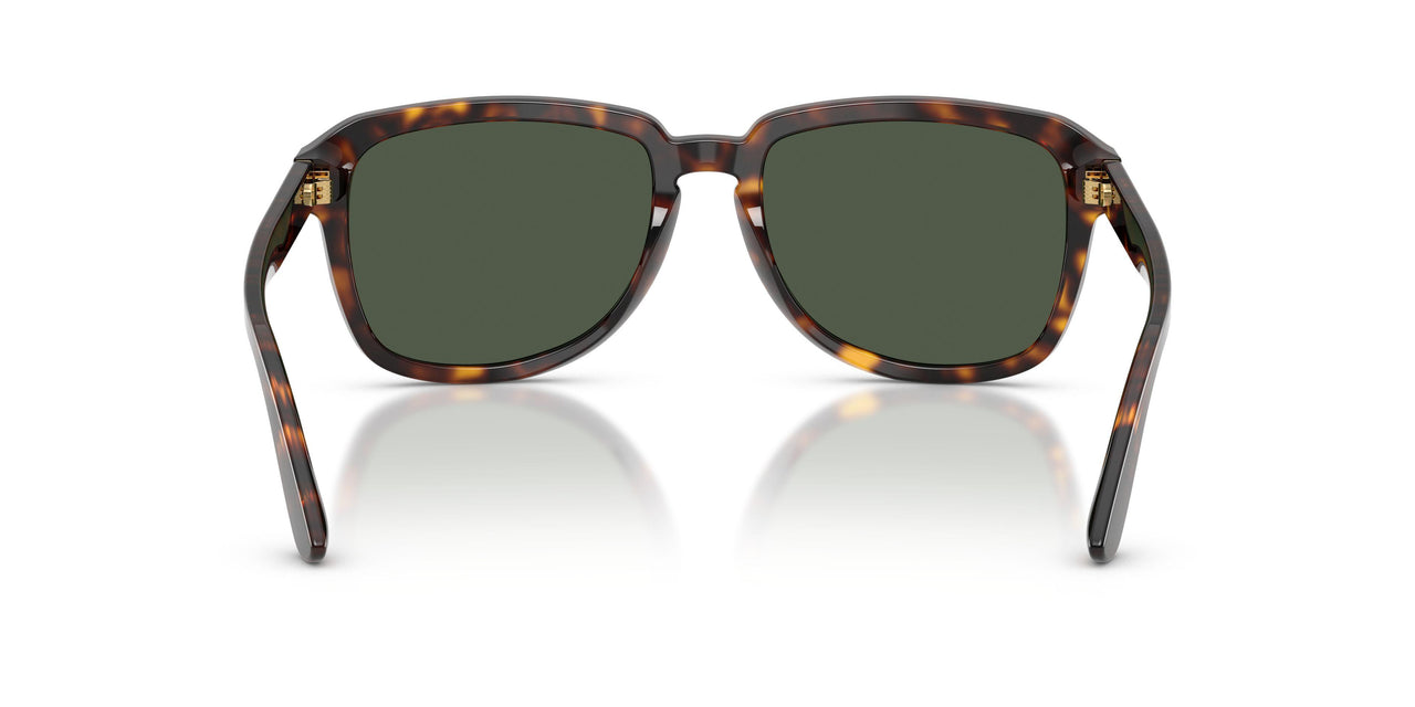 502/9A - Tortoise - Dark Green Polarized