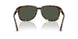 502/9A - Tortoise - Dark Green Polarized