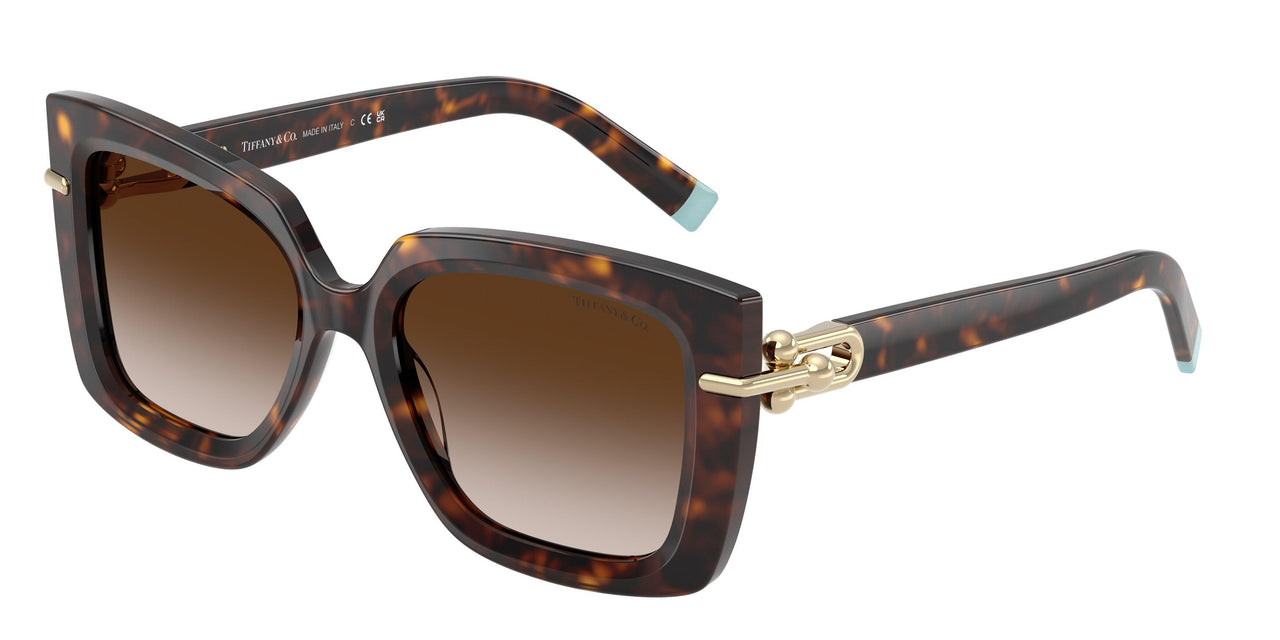 80153B - Tortoise - Brown Gradient