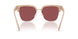 4038E4 - Brown - Wine