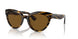 100383 - Havana - Brown Polar