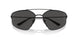 301/81 - Black - Polarized Grey