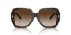 172813 - Tortoise - Brown Gradient