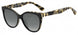 WR7WJ-WJ - BLK HAVAN