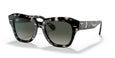 133371 - Havana - Grey Gradient / 49
