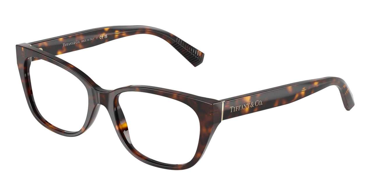 8015 - Tortoise