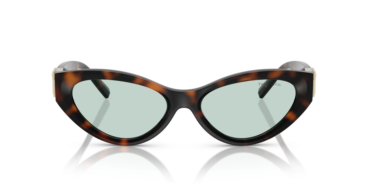 8429D9 - Tortoise - Light Azure