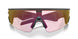 800109 - Black - Prizm Transitions Ember