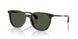 30029A - Tortoise - Polar Solid Green