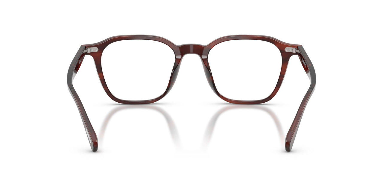 1818 - Morado Tortoise