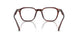 1818 - Morado Tortoise