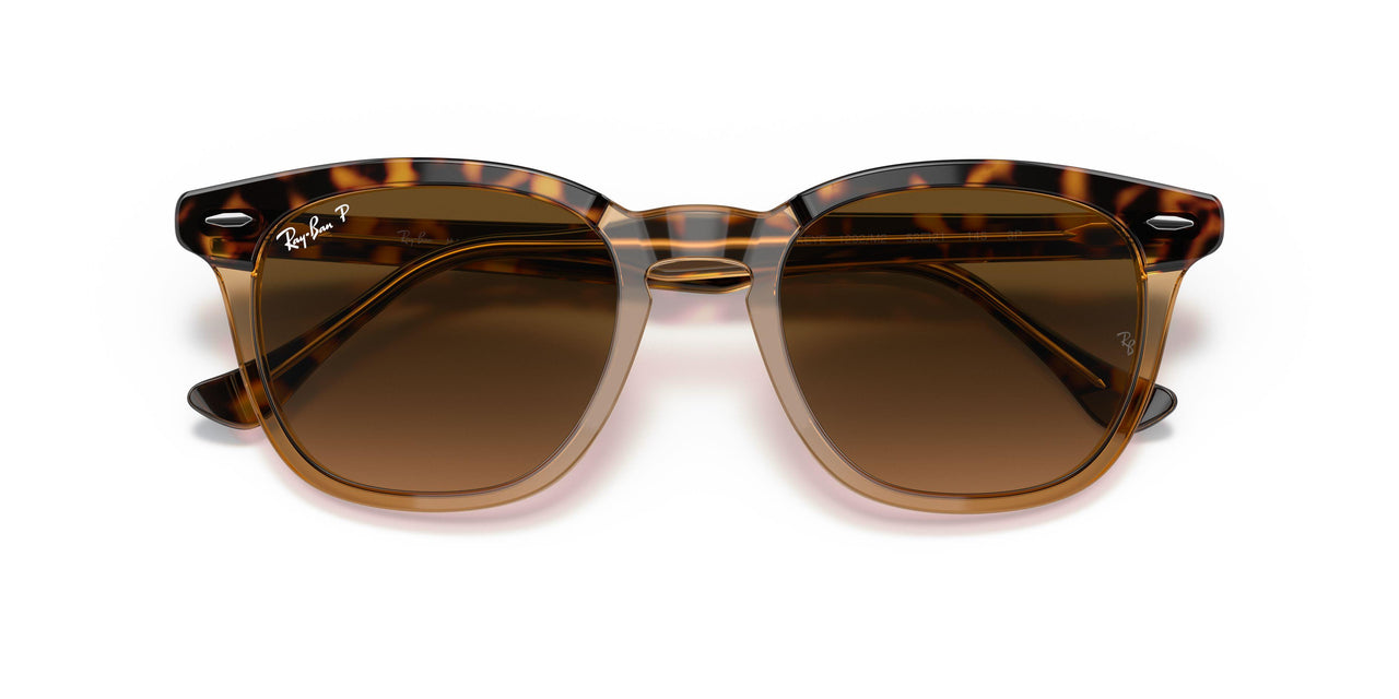 1292M2 - Havana - Brown Gradient Polar