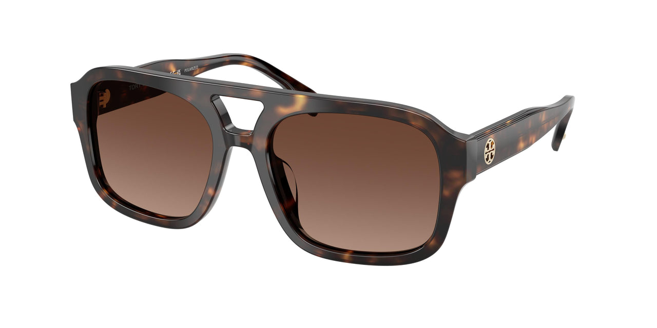 1964T5 - Tortoise - Polar Light Brown Gradient