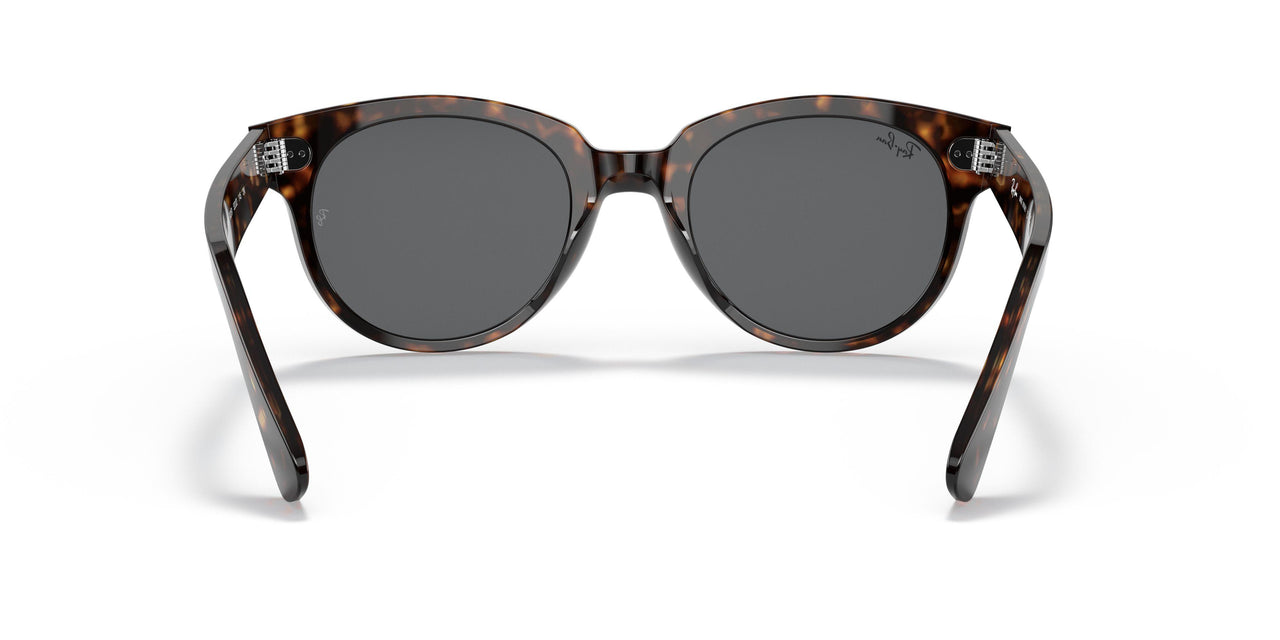 902/B1 - Havana - Dark Grey
