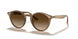 616613 - brown gradient - Brown Gradient