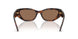 624173 - Tortoise - Brown